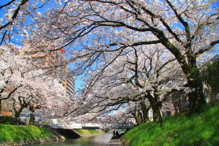 JR Central popular cities: Toyama