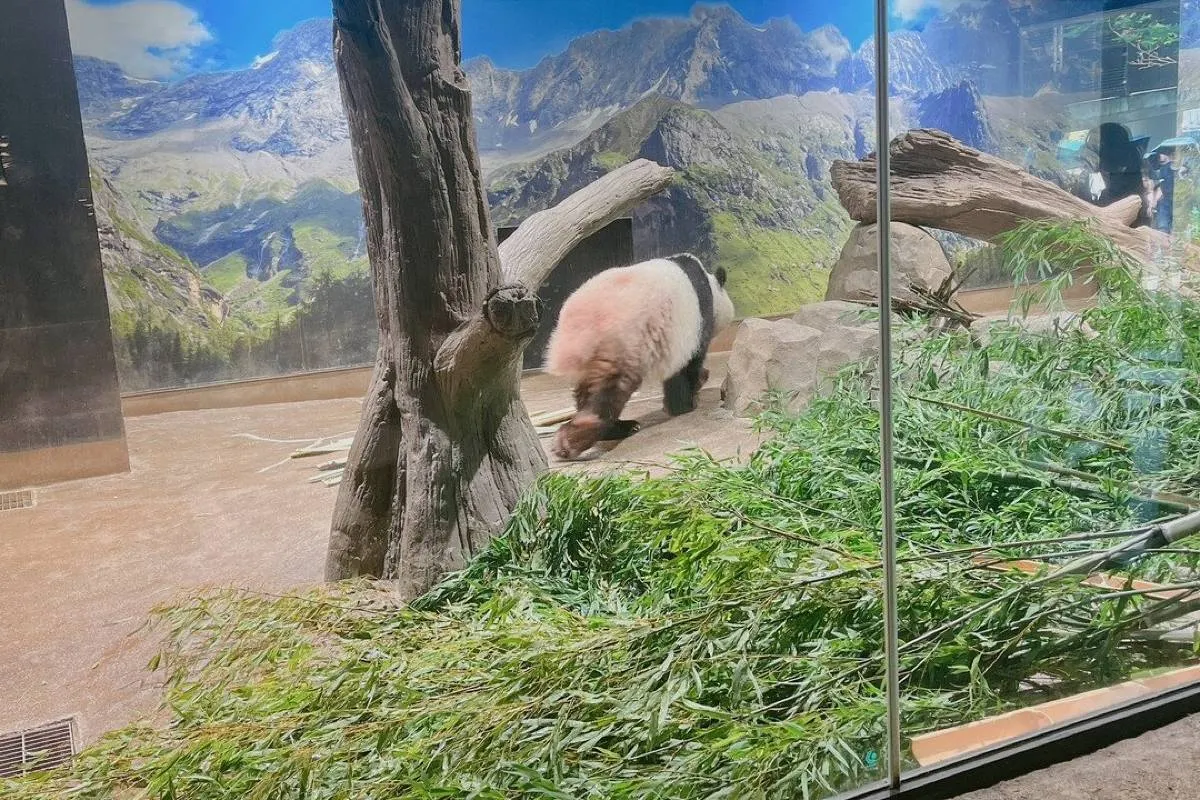 上野動物園西園