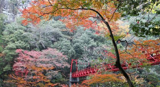 【長門峡】紅葉の見頃は11月上旬~11月中旬