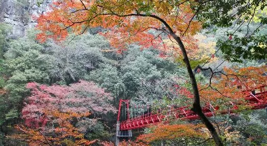 【長門峡】紅葉の見頃は11月上旬~11月中旬