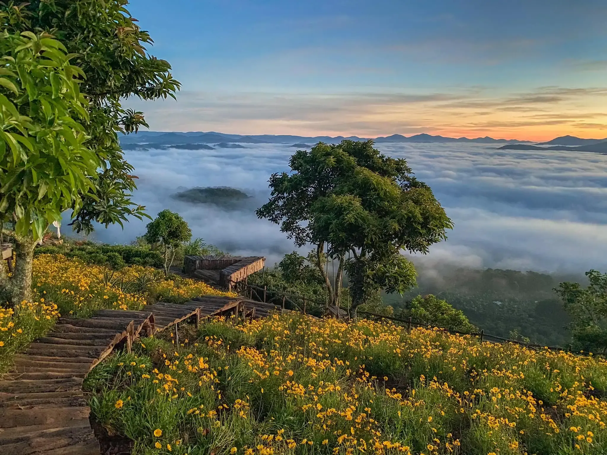 bài viết du lịch trip.com - cầu gỗ cà phê mây đà lạt
