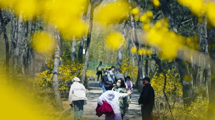 天候が悪くても北京は楽しい！