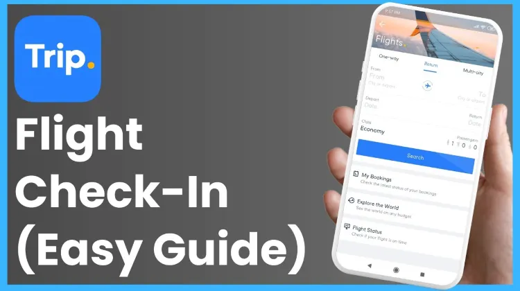 Check-In and Using Your Flight Ticket