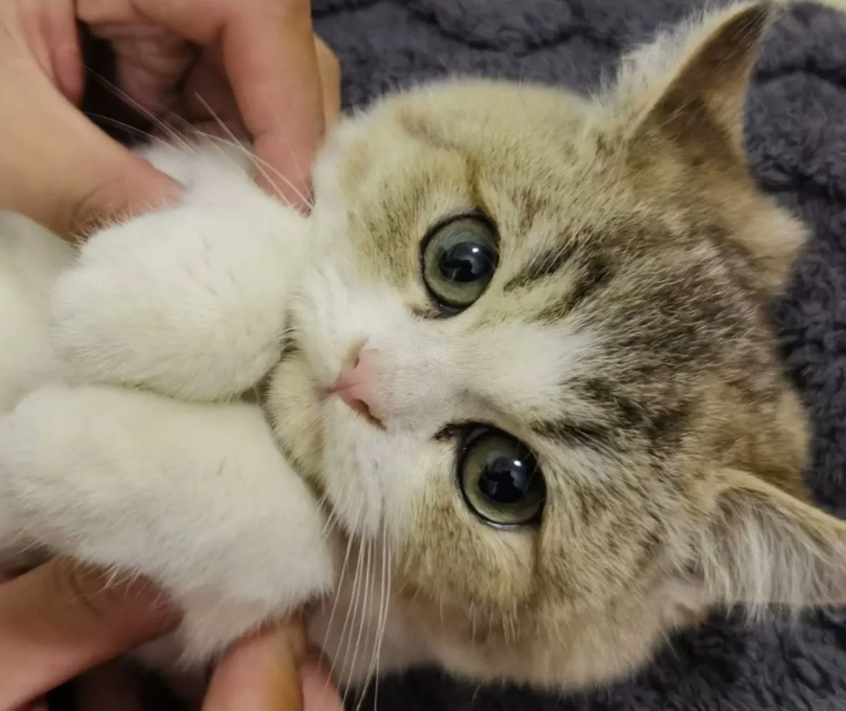 Bonus Tip: The Art of Packing