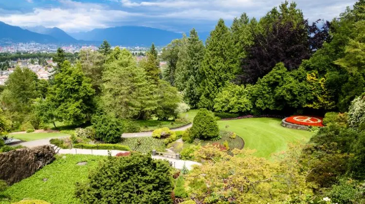 バンクーバーの8月