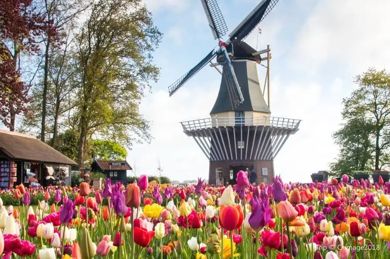 Amsterdam Trip Cost Keukenhof