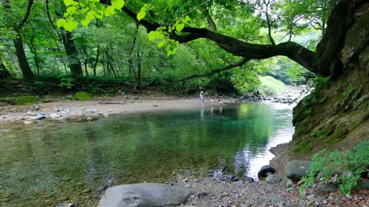 女子ひとり旅の那須旅行で注意するべき3つのこと