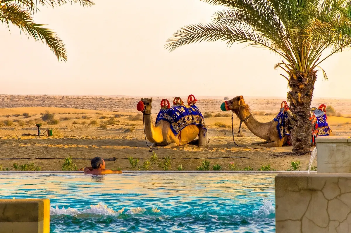 سباقات الهجن في سيوة