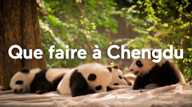 Que faire à Chengdu ? Activités et sites incontournables