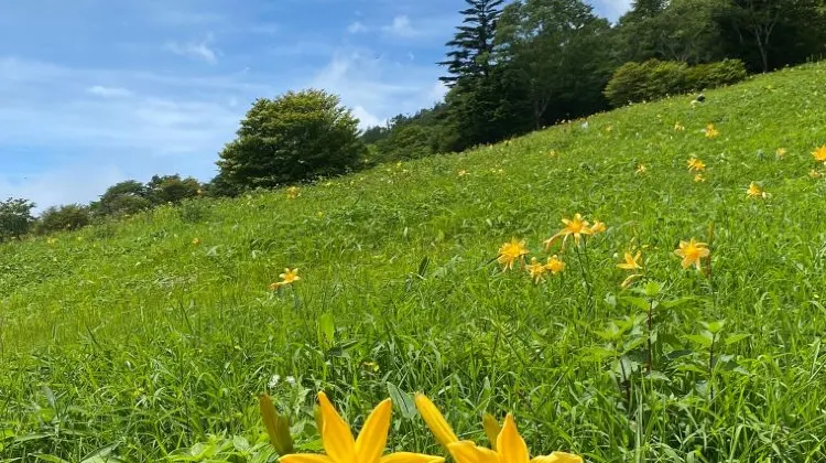 日光旅行はひとり旅こそおもしろい！