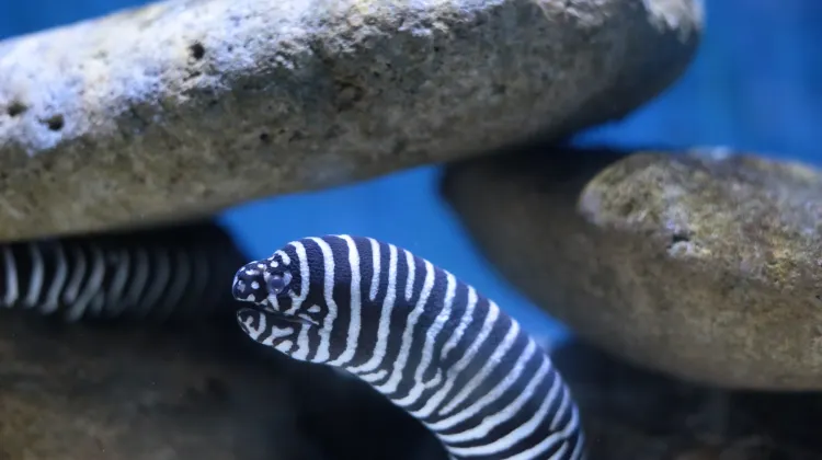 Underwater World Langkawi