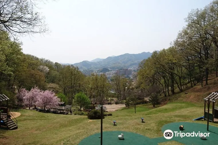 県立七沢森林公園