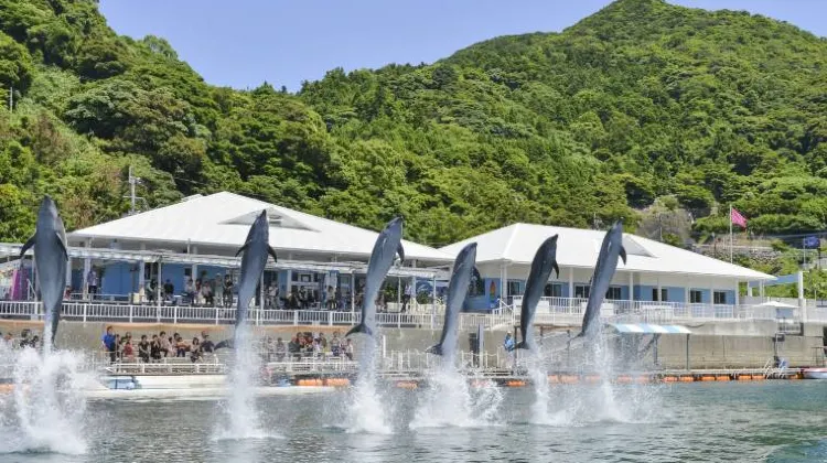 大分マリーンパレス水族館「うみたまご」