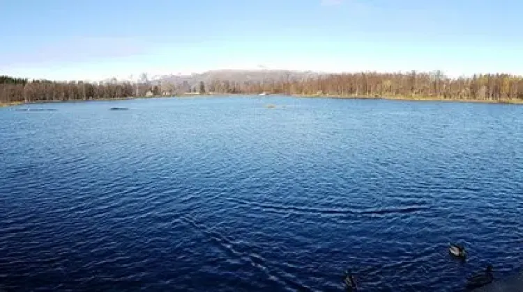 トロムソの年間降水量について