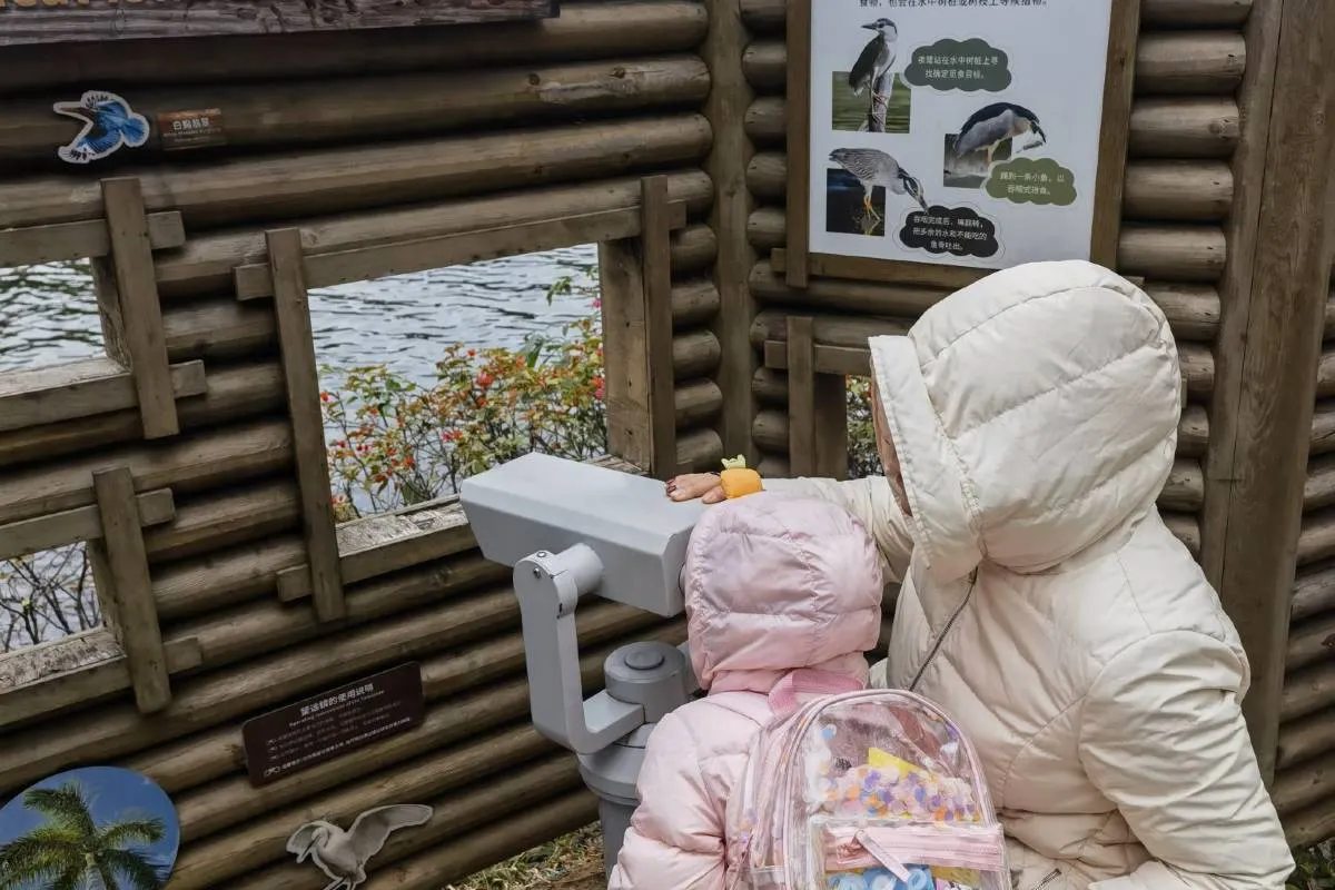 Things to Do at Guangzhou Zoo: Attractions & Shows