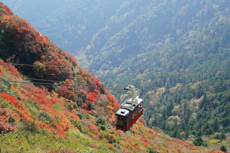 【雲仙仁田峠】紅葉の見頃は10月下旬~11月上旬