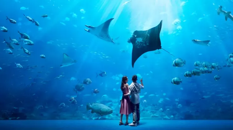 シンガポールの新婚旅行に最適な時期