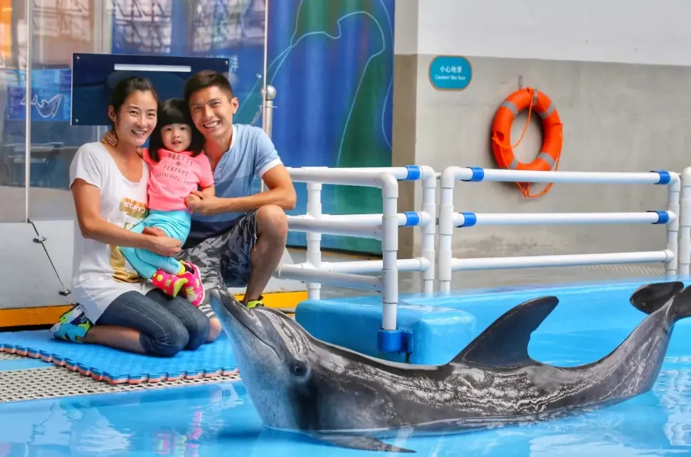 香港海洋公園海豚秀