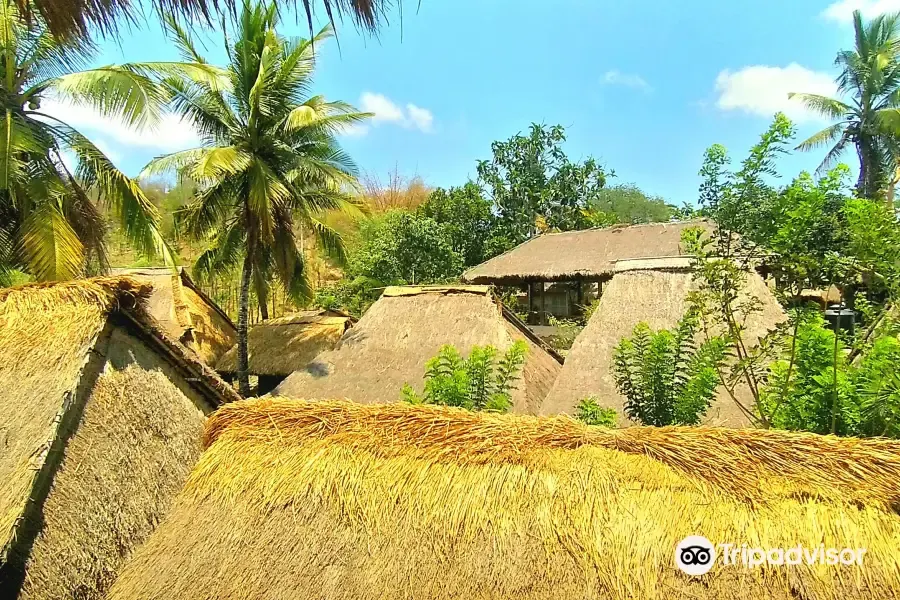 Tempat Wisata di Lombok-Sade Village