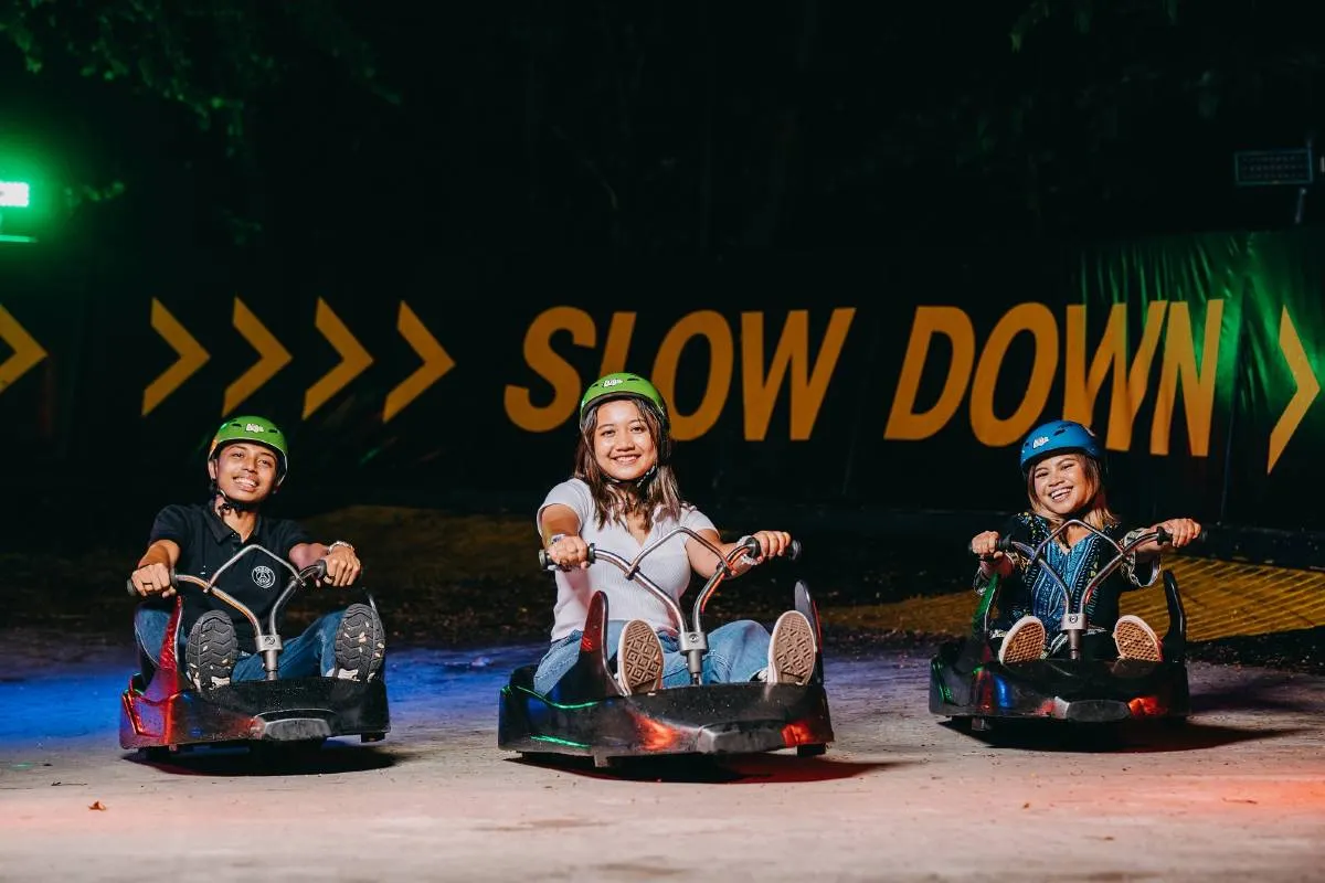 Night Luge