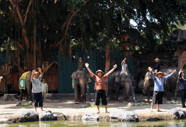 Aktivitas Seru yang Bisa Dilakukan di Taman Safari Bali