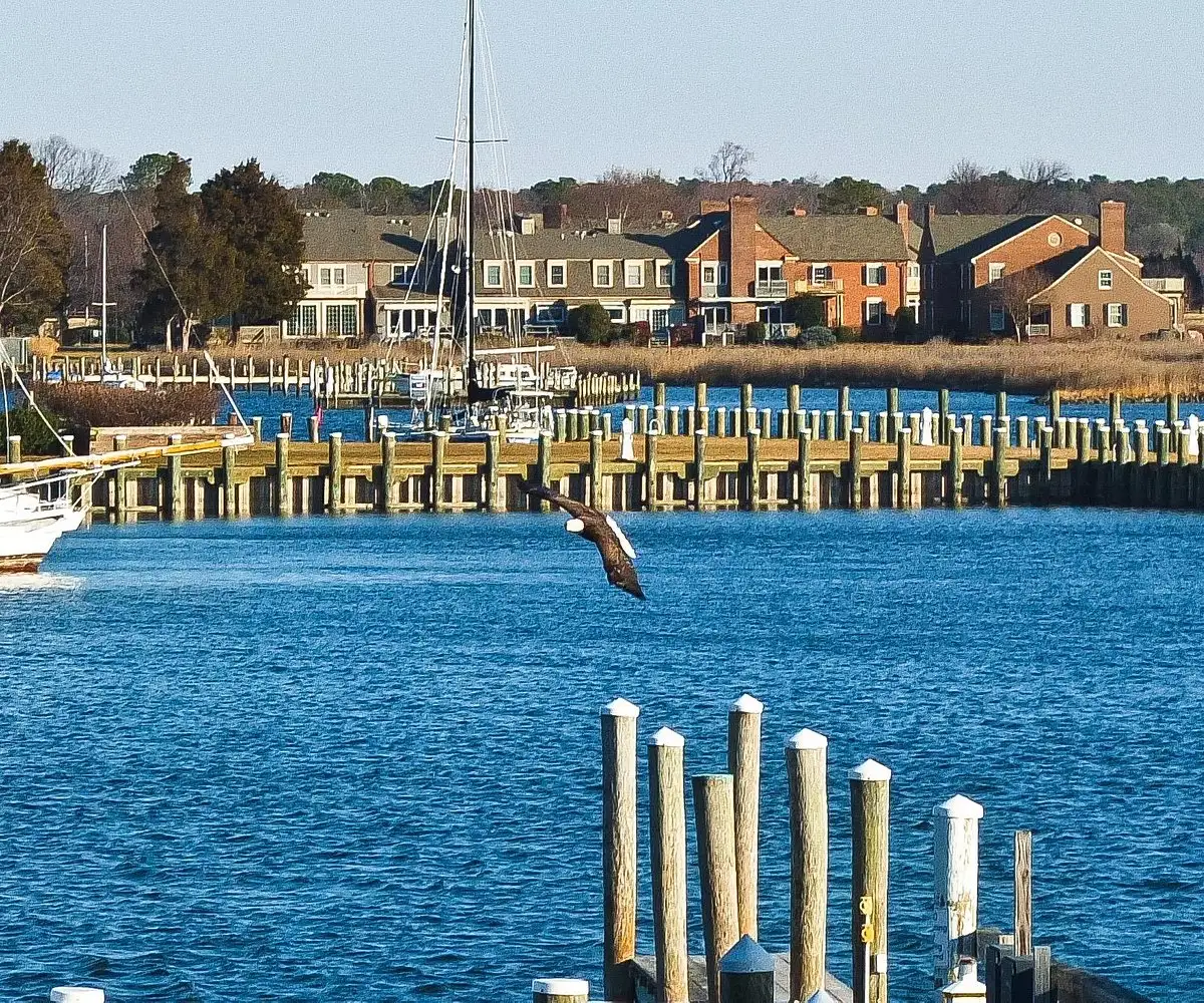 St. Michaels Sea View