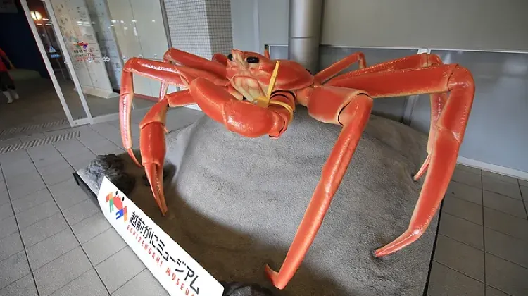 越前がにミュージアム