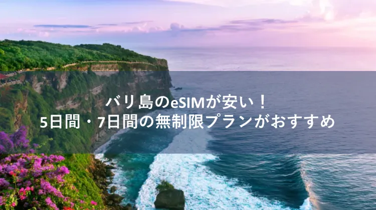 バリ島 esim