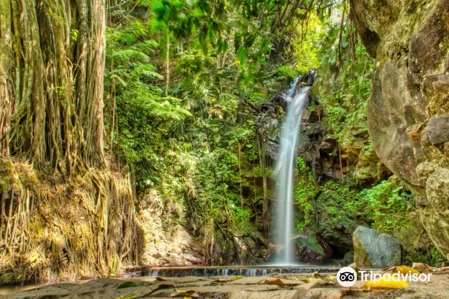 Wisata Kuningan - Curug Putri Palutungan