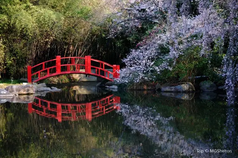 Birmingham Botanical Gardens