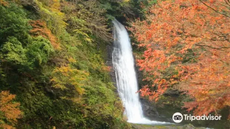 豊岡の年間気温について