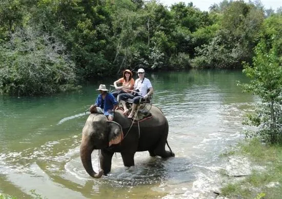 กิจกรรมขี่ช้างที่บ้านช้างไทย