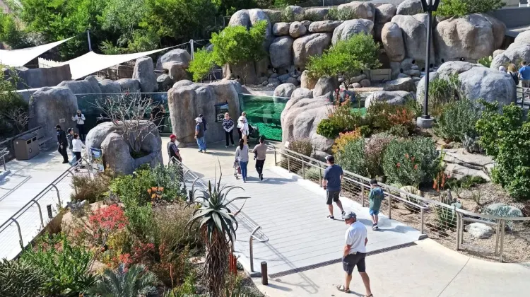 Best time to Visit San Diego Zoo