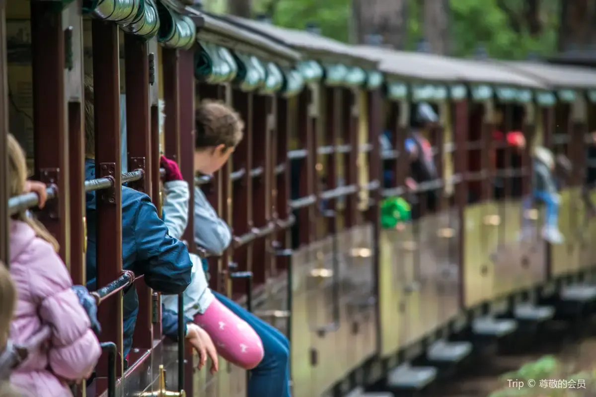 3. Tempat Wisata di Australia-Puffing Billy Railway
