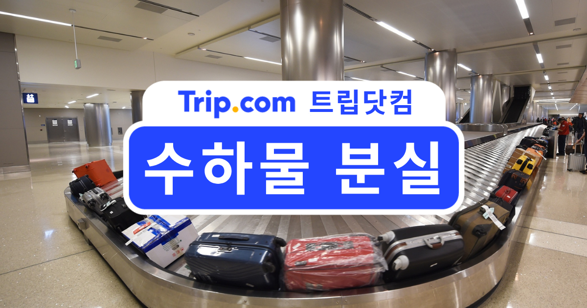 수하물 분실 대처법: 보상부터 여행자 보험 청구까지 총정리 | 트립닷컴