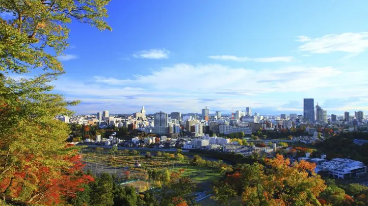仙台旅行はひとり旅こそおもしろい!