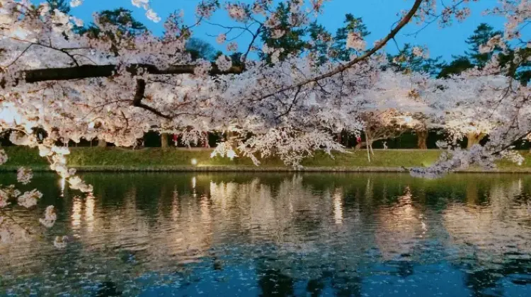 青森旅行はひとり旅こそおもしろい！