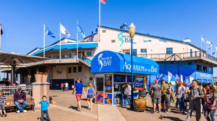 サンフランシスコの8月