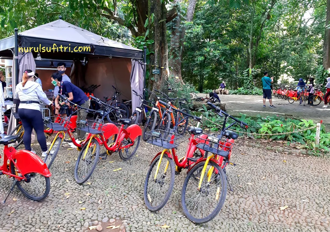 6. Transportasi Umum di Bali-Sepeda dan Skuter Sewa