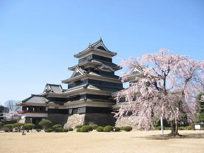 ปราสาทมัตสึโมโตะ (Matsumoto Castle)