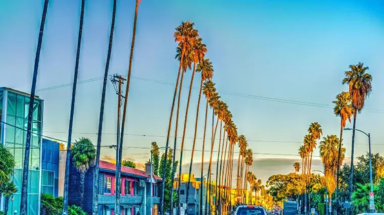 サンセット大通り