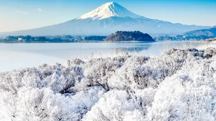 「センスがいい」と言われる静岡土産の選び方