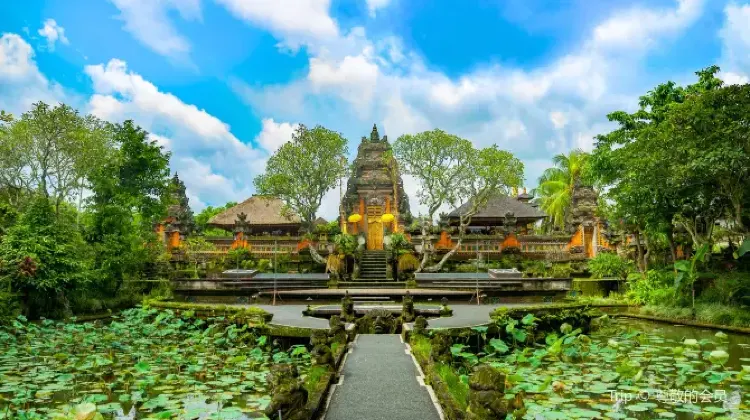 Ubud: Things to do in Bali