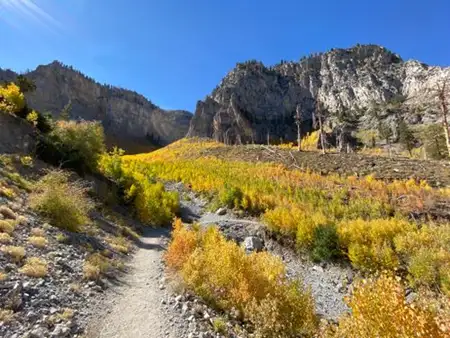 Echo Overlook Trail- Spring Mountains National Recreation Area