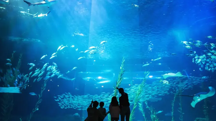 42.アクアプラネット済州