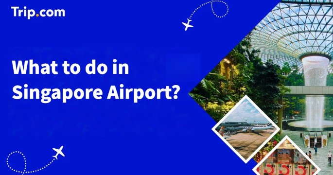 What to Do in Singapore Airport: A Layover Guide