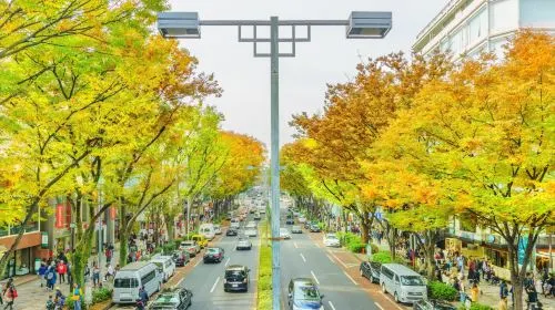 How to Apply for a Japan Transit Visa?