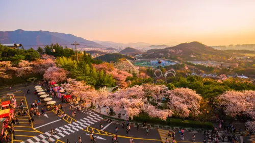 Daegu