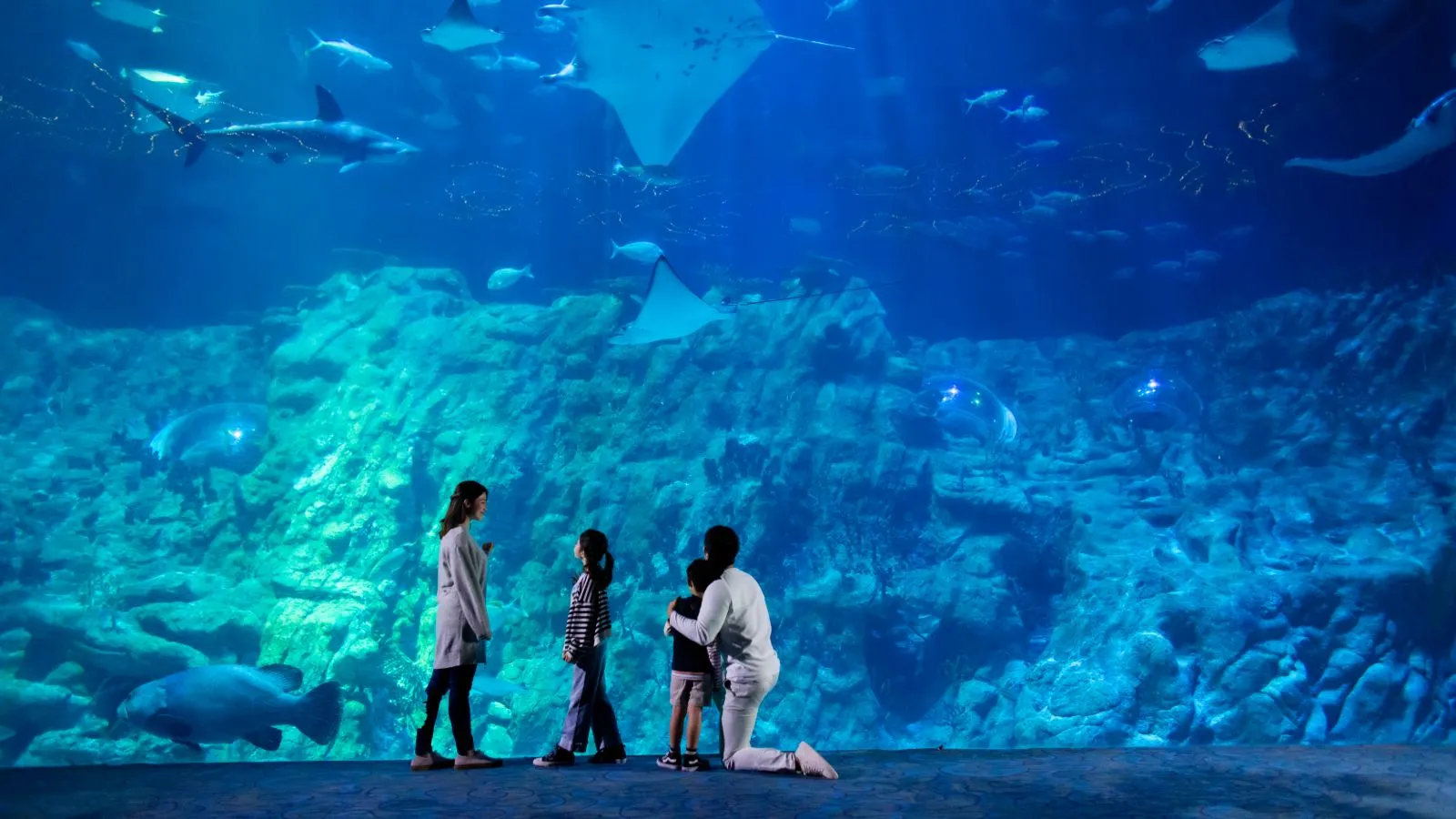 Ocean Park Hong Kong Attraktionen