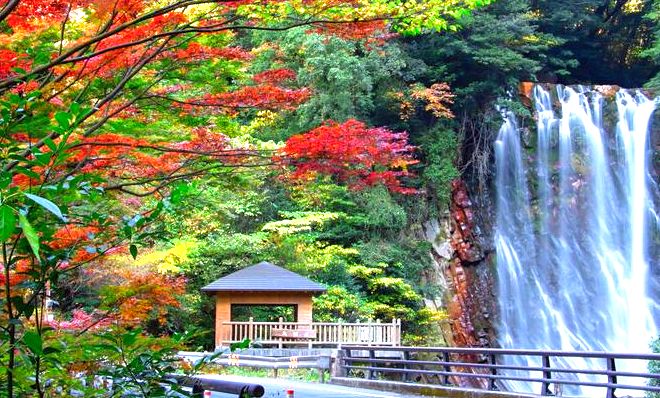 【霧島温泉郷】紅葉の見頃は10月中旬~11月中旬